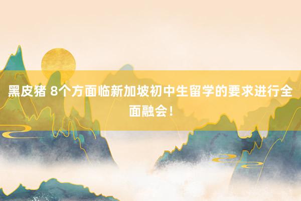 黑皮猪 8个方面临新加坡初中生留学的要求进行全面融会！