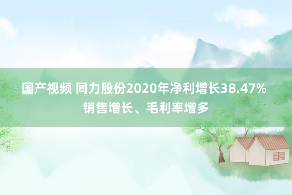 国产视频 同力股份2020年净利增长38.47% 销售增长、毛利率增多