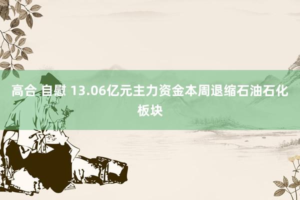 高合 自慰 13.06亿元主力资金本周退缩石油石化板块