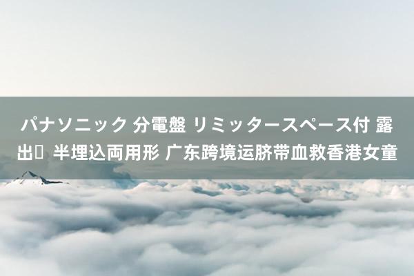 パナソニック 分電盤 リミッタースペース付 露出・半埋込両用形 广东跨境运脐带血救香港女童