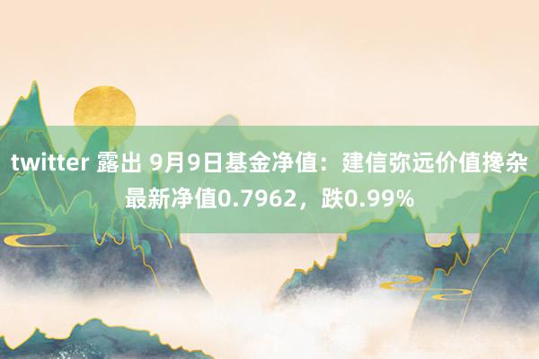 twitter 露出 9月9日基金净值：建信弥远价值搀杂最新净值0.7962，跌0.99%