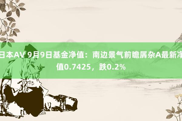 日本AV 9月9日基金净值：南边景气前瞻羼杂A最新净值0.7425，跌0.2%