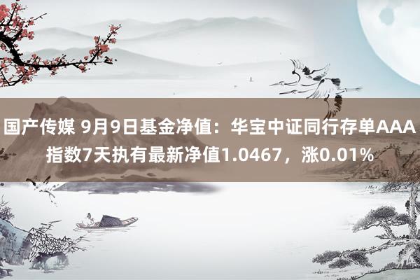 国产传媒 9月9日基金净值：华宝中证同行存单AAA指数7天执有最新净值1.0467，涨0.01%