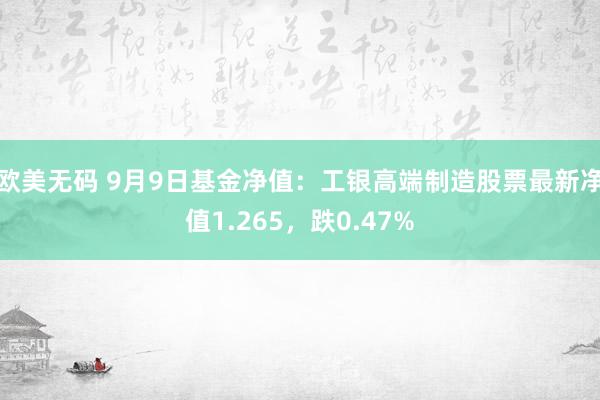 欧美无码 9月9日基金净值：工银高端制造股票最新净值1.265，跌0.47%