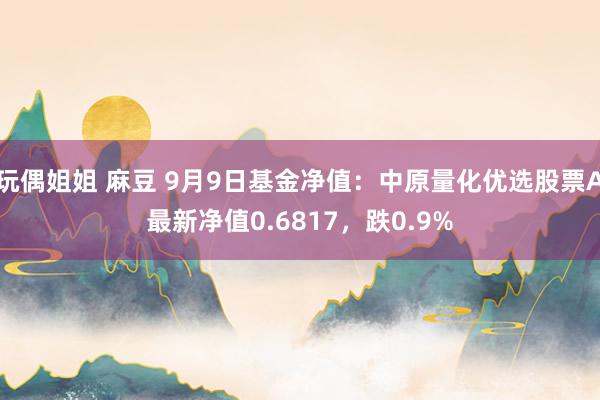 玩偶姐姐 麻豆 9月9日基金净值：中原量化优选股票A最新净值0.6817，跌0.9%