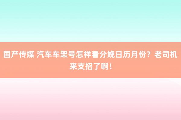 国产传媒 汽车车架号怎样看分娩日历月份？老司机来支招了啊！