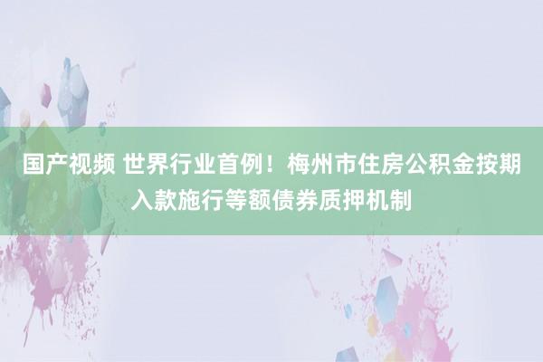 国产视频 世界行业首例！梅州市住房公积金按期入款施行等额债券质押机制