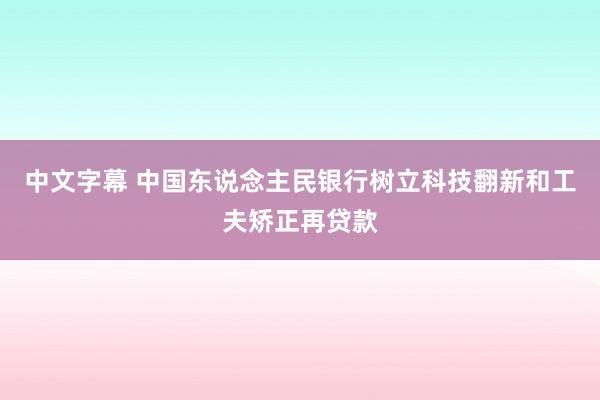 中文字幕 中国东说念主民银行树立科技翻新和工夫矫正再贷款