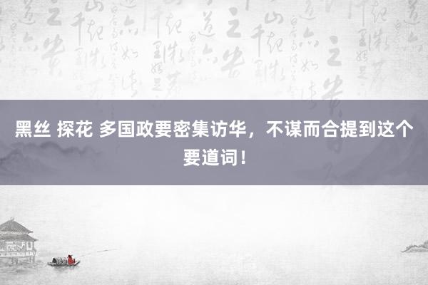 黑丝 探花 多国政要密集访华，不谋而合提到这个要道词！