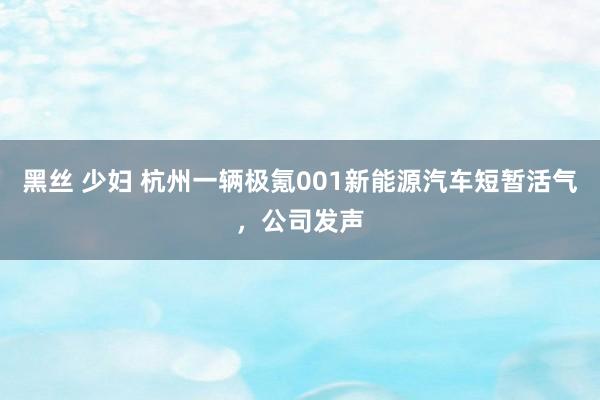 黑丝 少妇 杭州一辆极氪001新能源汽车短暂活气，公司发声