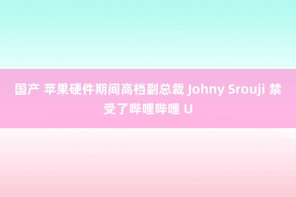 国产 苹果硬件期间高档副总裁 Johny Srouji 禁受了哔哩哔哩 U