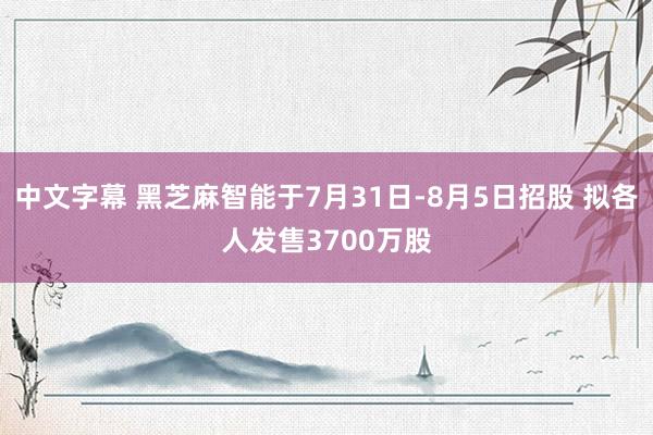 中文字幕 黑芝麻智能于7月31日-8月5日招股 拟各人发售3700万股