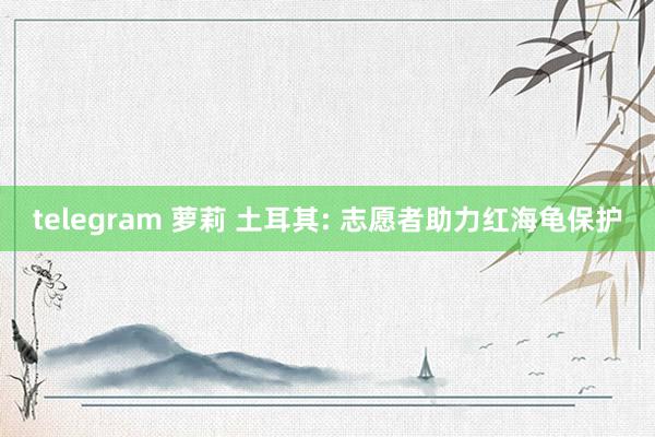 telegram 萝莉 土耳其: 志愿者助力红海龟保护