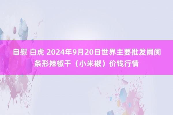 自慰 白虎 2024年9月20日世界主要批发阛阓条形辣椒干（小米椒）价钱行情