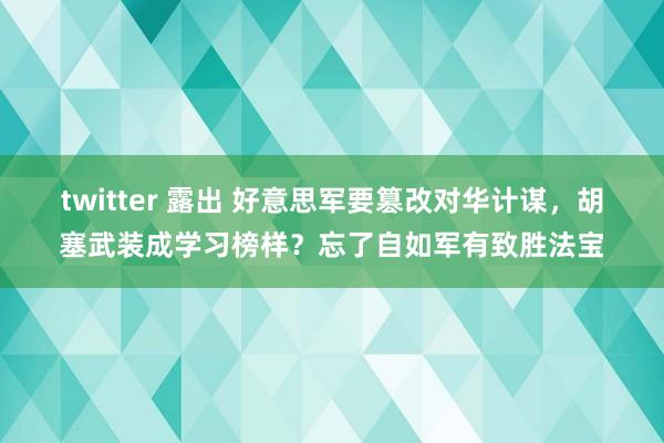 twitter 露出 好意思军要篡改对华计谋，胡塞武装成学习榜样？忘了自如军有致胜法宝