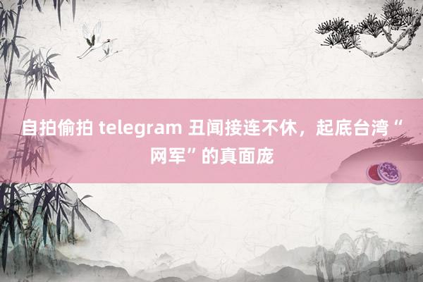 自拍偷拍 telegram 丑闻接连不休，起底台湾“网军”的真面庞