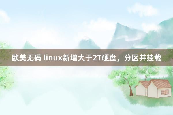 欧美无码 linux新增大于2T硬盘，分区并挂载