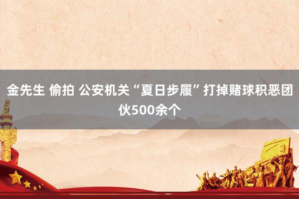 金先生 偷拍 公安机关“夏日步履”打掉赌球积恶团伙500余个