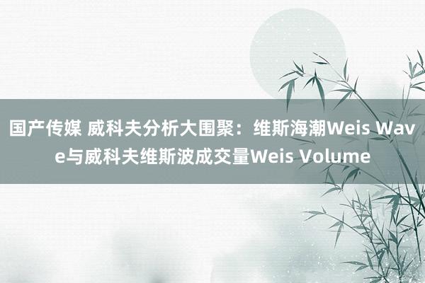 国产传媒 威科夫分析大围聚：维斯海潮Weis Wave与威科夫维斯波成交量Weis Volume