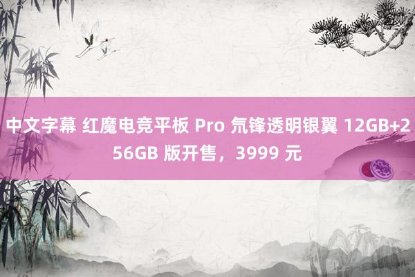 中文字幕 红魔电竞平板 Pro 氘锋透明银翼 12GB+256GB 版开售，3999 元