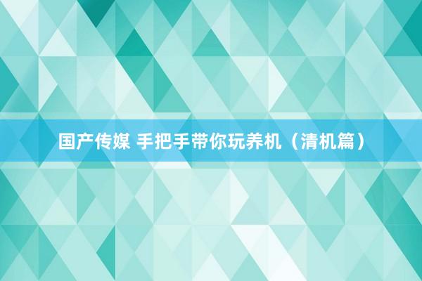 国产传媒 手把手带你玩养机（清机篇）