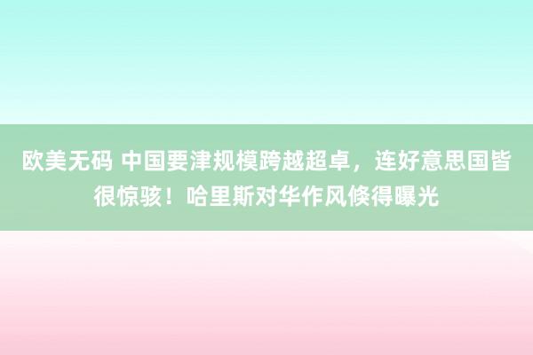 欧美无码 中国要津规模跨越超卓，连好意思国皆很惊骇！哈里斯对华作风倏得曝光