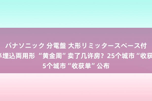 パナソニック 分電盤 大形リミッタースペース付 露出・半埋込両用形 “黄金周”卖了几许房？25个城市“收获单”公布