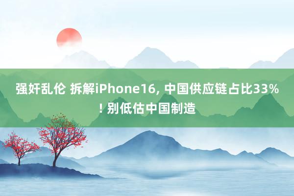 强奸乱伦 拆解iPhone16， 中国供应链占比33%! 别低估中国制造