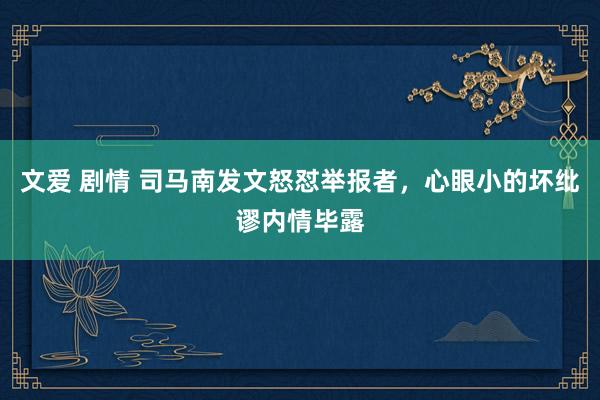 文爱 剧情 司马南发文怒怼举报者，心眼小的坏纰谬内情毕露