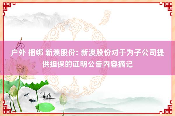 户外 捆绑 新澳股份: 新澳股份对于为子公司提供担保的证明公告内容摘记