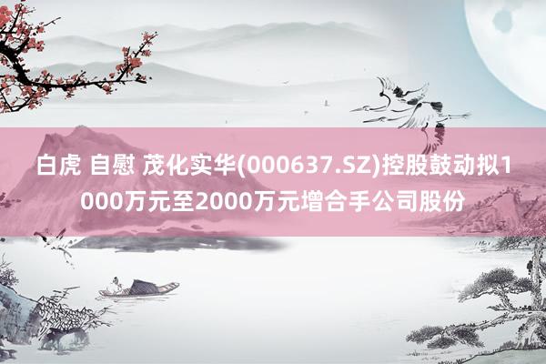 白虎 自慰 茂化实华(000637.SZ)控股鼓动拟1000万元至2000万元增合手公司股份