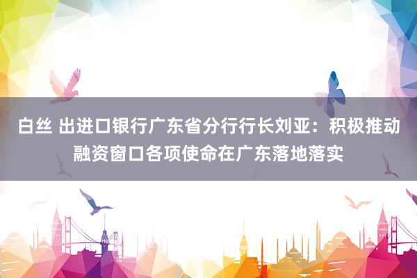 白丝 出进口银行广东省分行行长刘亚：积极推动融资窗口各项使命在广东落地落实