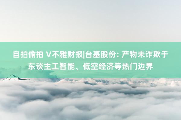 自拍偷拍 V不雅财报|台基股份: 产物未诈欺于东谈主工智能、低空经济等热门边界