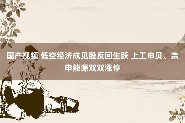 国产视频 低空经济成见股反回生跃 上工申贝、宗申能源双双涨停