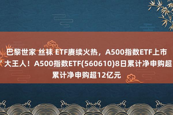 巴黎世家 丝袜 ETF赓续火热，A500指数ETF上市“吸睛”大王人！A500指数ETF(560610)8日累计净申购超12亿元