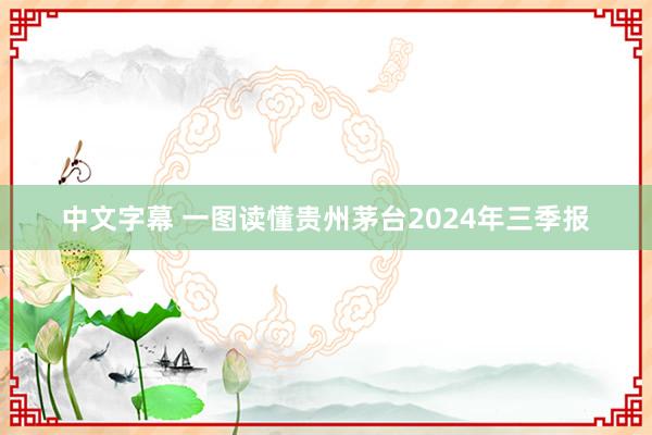 中文字幕 一图读懂贵州茅台2024年三季报