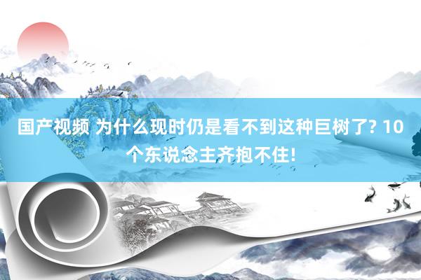 国产视频 为什么现时仍是看不到这种巨树了? 10个东说念主齐抱不住!