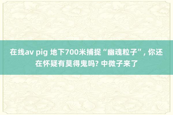 在线av pig 地下700米捕捉“幽魂粒子”， 你还在怀疑有莫得鬼吗? 中微子来了