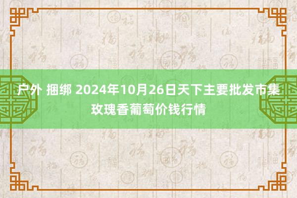 户外 捆绑 2024年10月26日天下主要批发市集玫瑰香葡萄价钱行情