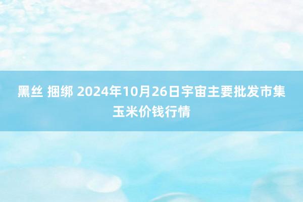 黑丝 捆绑 2024年10月26日宇宙主要批发市集玉米价钱行情