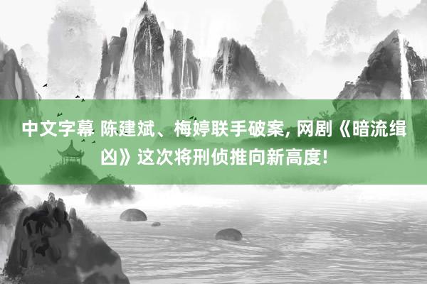 中文字幕 陈建斌、梅婷联手破案， 网剧《暗流缉凶》这次将刑侦推向新高度!