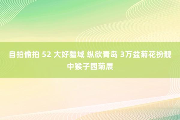 自拍偷拍 52 大好疆域 纵欲青岛 3万盆菊花扮靓中猴子园菊展