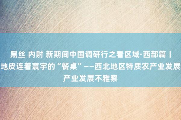 黑丝 内射 新期间中国调研行之看区域·西部篇丨这里的地皮连着寰宇的“餐桌”——西北地区特质农产业发展不雅察