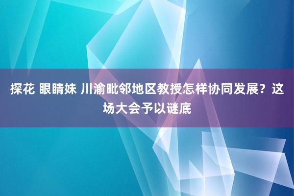 探花 眼睛妹 川渝毗邻地区教授怎样协同发展？这场大会予以谜底