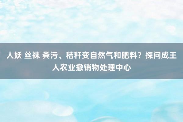 人妖 丝袜 粪污、秸秆变自然气和肥料？探问成王人农业撤销物处理中心