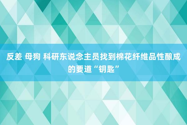 反差 母狗 科研东说念主员找到棉花纤维品性酿成的要道“钥匙”