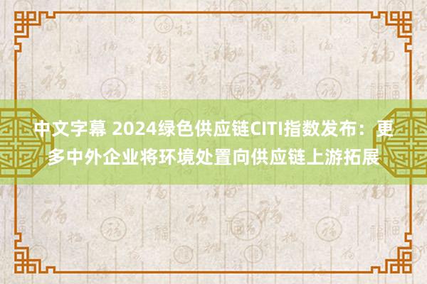 中文字幕 2024绿色供应链CITI指数发布：更多中外企业将环境处置向供应链上游拓展