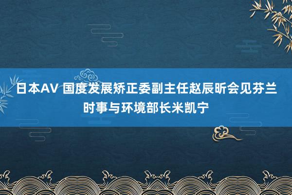 日本AV 国度发展矫正委副主任赵辰昕会见芬兰时事与环境部长米凯宁