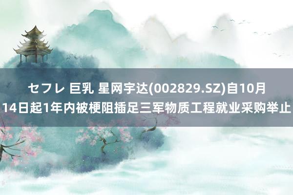 セフレ 巨乳 星网宇达(002829.SZ)自10月14日起1年内被梗阻插足三军物质工程就业采购举止