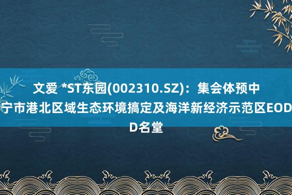 文爱 *ST东园(002310.SZ)：集会体预中标万宁市港北区域生态环境搞定及海洋新经济示范区EOD名堂